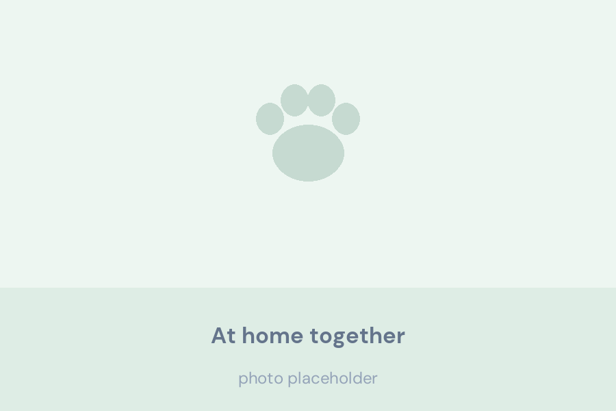 Adult Bernese Mountain Dog resting on a living room floor beside her puppies