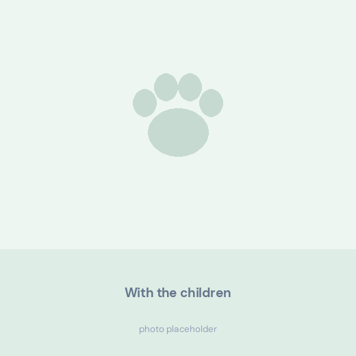 Child sitting on the floor beside a young Bernese Mountain Dog puppy
