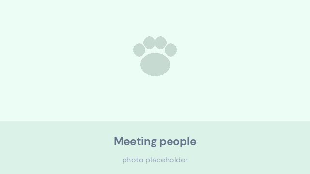 Bernese Mountain Dog puppy being greeted gently by a small group of people